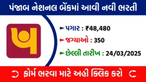 PNB SO Recruitment 2025
