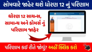 ધોરણ 12 પરિણામ 2025